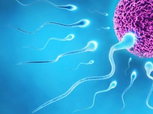 check-up fertilit maschile analisi cliniche caserta cerasole